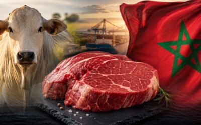 Morocco Cuts Import Tariffs and Opens New Opportunities for Brazilian Protein