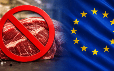 European Union suspends Brazilian meat imports: what are the impacts?