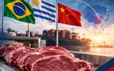 Brasil y Uruguay: nuevo movimiento podría ampliar el espacio de la carne brasileña en China