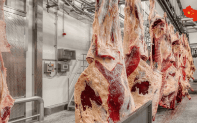Las exportaciones brasileñas de carne bovina caen en septiembre y refuerzan la importancia de la eficiencia industrial