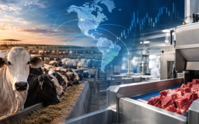 La menor oferta de carne bovina en EE. UU. refuerza la importancia de la eficiencia en la industria de proteínas