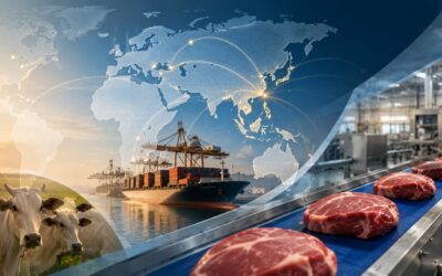 Brasil amplia fronteiras da proteína animal e acelera a busca por eficiência industrial